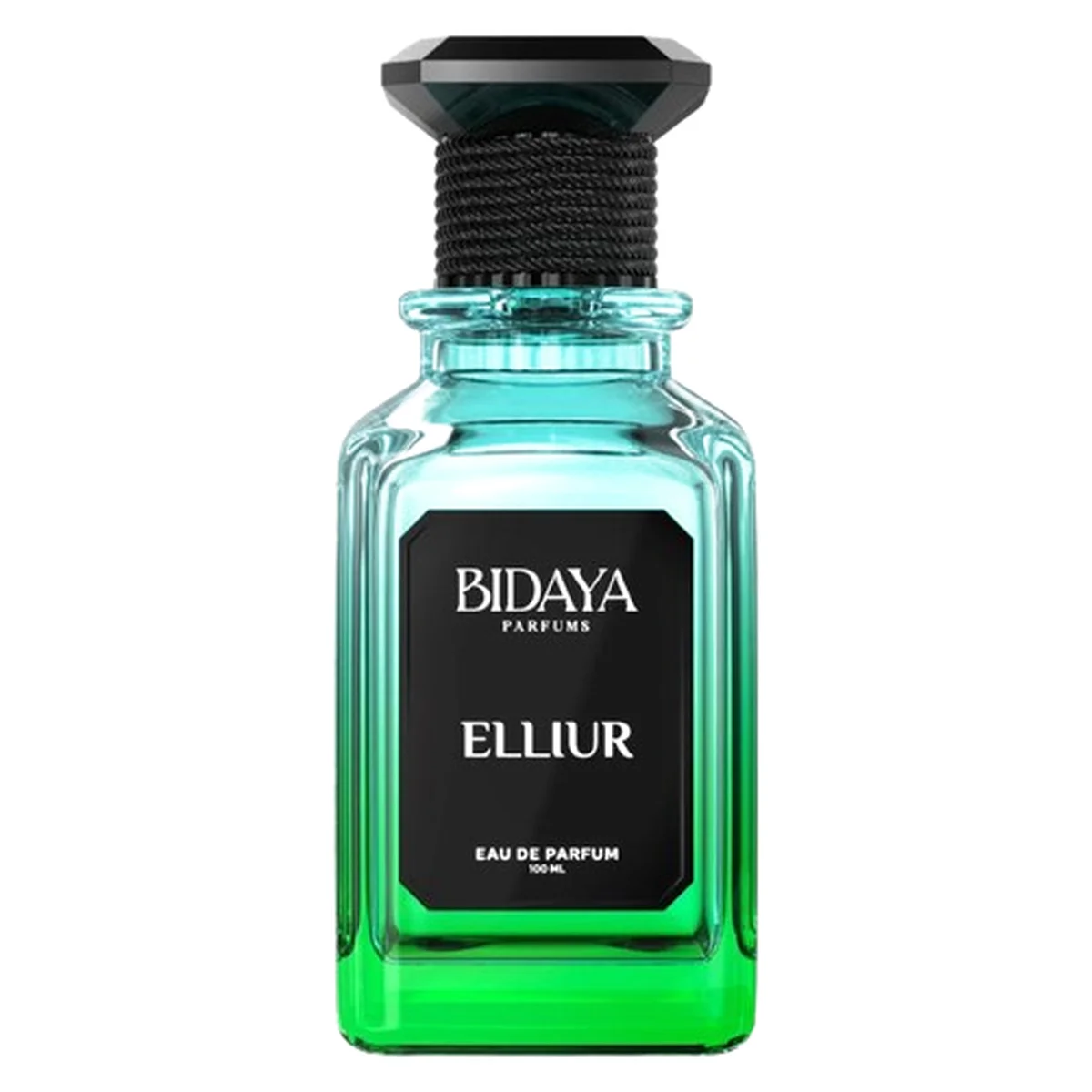 BIDAYA ELLIUR